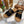 SANDALI CON ZEPPA CHLOÉ WOODY IN TELA NERA CON SUOLA IN GOMMA MARRONE SIDRO