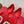 Viv Chips Ballerina Flat Red Silk 329266