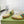 GG Men's Web Sneaker Yellow Cowhide Suede 853919