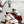 GG Men's Re-Web Sneaker White Red Calfskin 534248