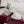 GG Stretch Low-Top Trainers White Leather 824427