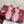 GG Stretch Low-Top Trainers Pink Canvas 824430