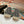 cc espadrilles black red blended fabrics black patent calfskin