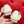 Viv Ballerine Bianche in Pelle di Agnello Importata 247130