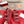 GG 26s Double G Sandals Red Canvas 929384