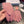 GLOVES IN FLAMINGO PINK WOOL 420537