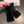 FINGERLESS GLOVES IN BLACK RABBIT FUR 462279