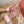 Miu 26s Gloves 405421