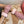 Miu 26s Gloves 405421