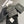 CC Zipper Flap Card Holder Black Sheepskin Sliver Steel 234675