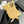 CC 96066 Compact Wallet Yellow Caviar GHW 234615