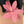 Leather Bag Charm Pink Red 240344