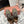 LP Katharina Sneaker In Light Moss Green Mix Earth Brown Calfskin 997605