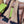 GG Classic 200CM Brown Black Wool 287729