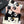 CC 25 Scarf 140cm White Black Cashmere 293181