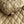 Bur 25 Quilted Jacket Dark Beige Polyester 300087