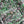 Chanel 2025 Gilet Vert Laine Coton 318430