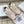 CD 26s Cœur Sneaker Light Pink Satin 695458