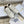 CD 26s Cœur Sneaker Off White Leather 695459