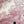 CD 25 Jouy Print Sleeveless Dress Pink Silk Cotton