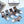 LOW-CUT SOCKS 409649 ( 1 BOX )