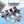 LOW-CUT SOCKS 423922 (1 BOX)