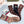 CREW SOCKS 427552 (1 BOX)
