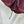 Miu Shorts Burgundy Windproof Fabric 349727