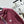 Miu Blouson Jacket Burgundy Windproof Fabric 349723