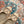 LV Shake Flat Ballerina Beige Lambskin