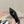 CASSANDRA SLINGBACK FLAT IN BLACK MIX BLUE SMOOTH LAMBSKIN