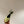 TRIOMPHE SANDAL 85 MM IN LIGHT YELLOW LAMBSKIN