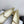 CC Mary Jane Beige Cowhide