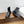 CD D-Quest Ankle Boot 40mm Glossy Black Calfskin