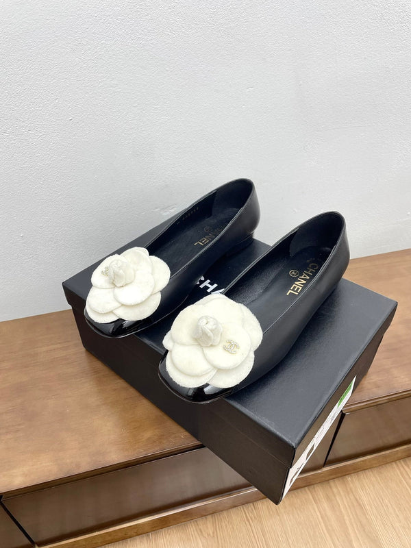 CC Ballet Flats Black With Camellia White Lambskin