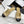 CC 25 Mules Flats Beige Sheepskin 311499