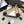 CC Logo Bow with Camellia Ballerina Flats Black Beige Cowhide Sheepskin 427020