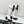 CC Big Bow Chunky Long Boots 80mm Black White Suede 427063