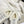 CD Walk'n Dior Platform Sneaker Grey Beige Oblique Motif Fabric Wool