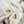 CD Walk'n Dior Platform Sneaker Khahi Beige Oblique Motif Fabric Wool