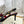 VT Studdy Kidskin Pumps 60mm Black Goatskin 611371
