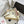 VT Signature Slingback White Embossed Cowhide 726941