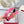 Ceinture Réversible The Bold Edition 30 mm Cuir de veau Rose Noir Boucle Dorée