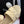 CC 25SS Ciabatte Miele 5cm Pelle di Agnello Beige 319638