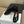 CD New Ballet Flat Black Patent Leather 561789