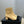 CC 26FW Ankle Boot Black Beige Sheepskin Fabric 621275