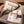 HM Blanket Beige White Wool Cashmere
