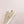 PRA DOWNTOWN PERFORATED SNEAKERS BEIGE SUEDE