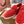 LP Summer Charms Walk Loafers Red Suede 565850