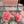 Miu Slippers Pink Super Soft Wool